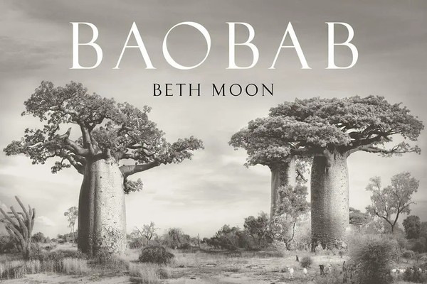Baobab | Beth Moon | Englisch | Buch | Gebunden | 2021 | Abbeville Press-image