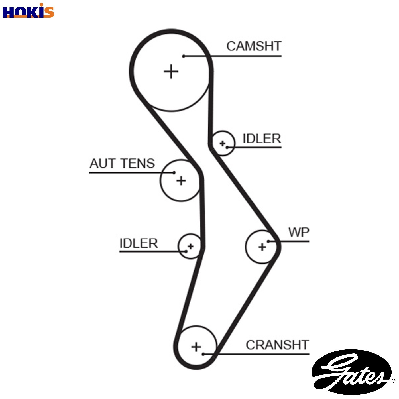 TIMING BELT 5604XS FOR SKODA OCTAVIA/II/Combi LAURA VW GOLF/PLUS/Van BORA EOS
