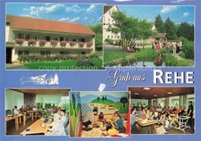 Deer Westerwald Rhineland-Palatinate Christl recreation home Westerwald Foundation Gastra