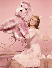 ANN MARGRET #525 BEAUTIFULLY COLORIZED PHOTO 11 X 8.5 SHIPS FREE