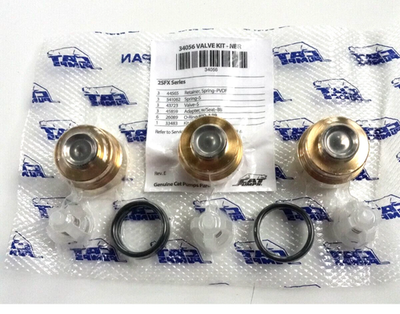 #ad CAT Pumps OEM 34056 Discharge Valve Kit for 2SFX20ES 2SFX30ES 2SFX30GS $150.00