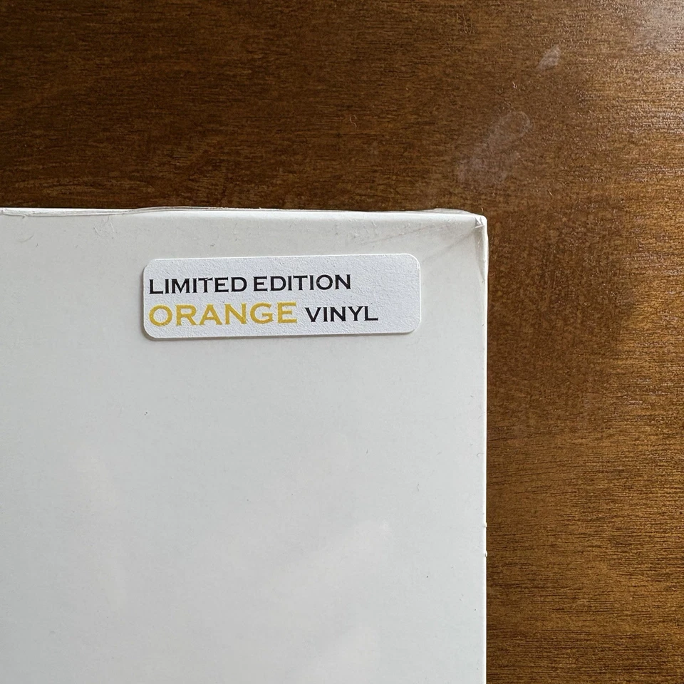 DAVID FOSTER WALLACE This is Water LIMITED EDITION ORANGE VINYL sealed NEW - image 3 of 4