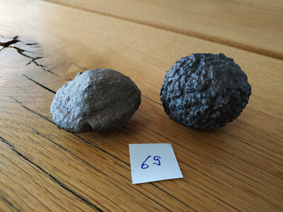 Moqui Marbles -Lebende Steine - wunderschönes  XL Paar - aus Utah/USA- Nr. 69