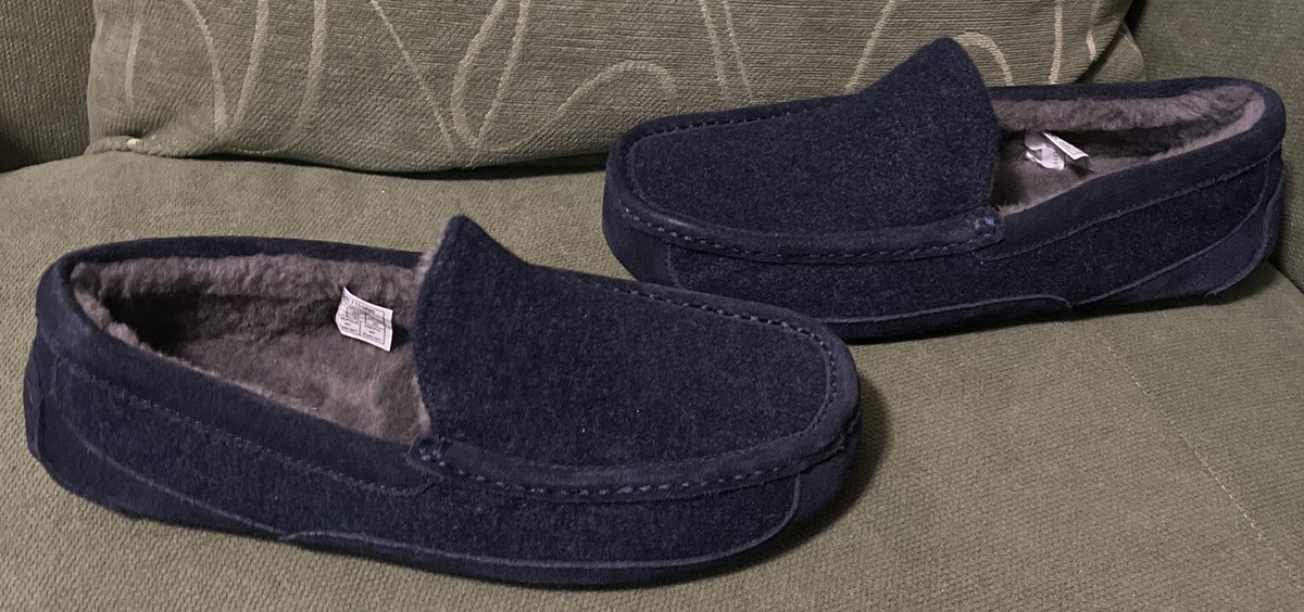 UGG Men display picture 2