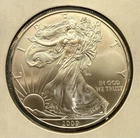 2009 1 Oz Silver American Eagle (Brilliant Uncirculated)