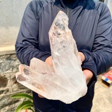 1.7LB A+++ Large Himalayan top