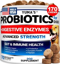 Probiotics for Dogs and Digestive Enzymes - 170 Dog Probiotics Chews