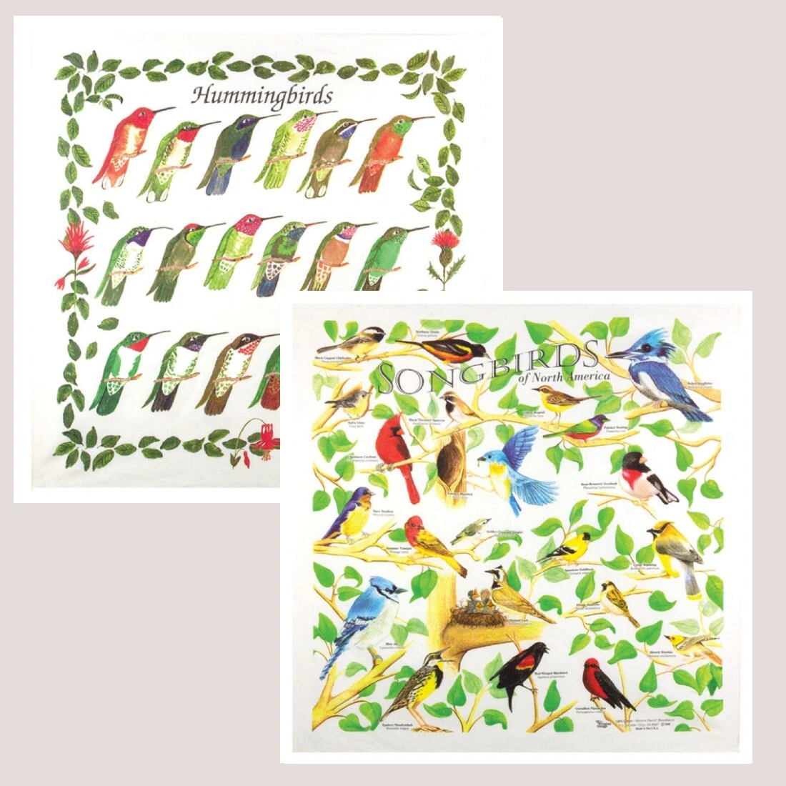 Wild Birds Bandanna 2-Pack Bundle Songbrids Hummingbirds Nature Facts Cardinal