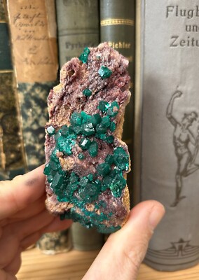 Dioptase xx / Midingi Kongo / Emerald Green Crystals  Copper Mineral Smaragd