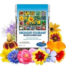 Drought Resistant Wildflower Seeds - 1oz Bulk Open-Pollinated Flower Mix 386.24 per gallon