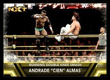 Andrade 