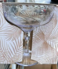 Panama Jack Brand Plastic Margarita/Champagne/Wine Glasses Set of 4 NEW