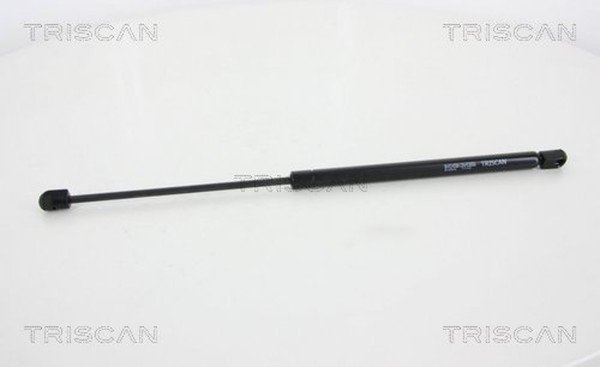 Triscan Gasfeder Heckscheibe 8710 28246 FüR Peugeot 206 SW 2E 16V Hdi 110-image