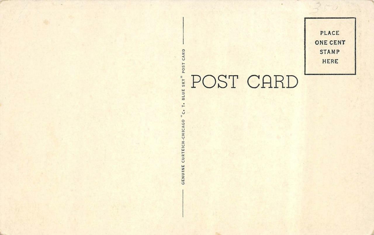 CHILLICOTHE, Missouri MO CITY HALL ca1920's Curteich Blue Sky Postcard