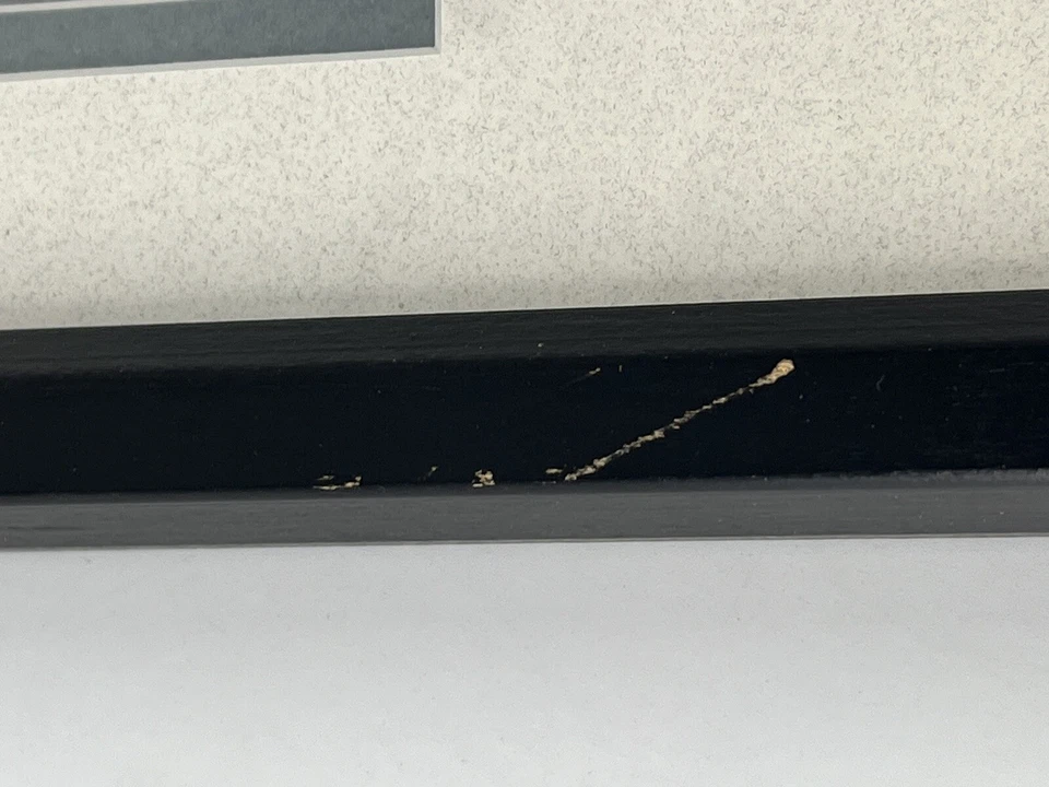 Framed 1998 Ducks Unlimited Block of Four $5 Duck Stamps with Gold Stamp Replica - Image 4 of 4