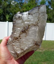 Incredible Natural SMOKY ELESTIAL Alligator Quartz Jacare Crystal Point Brazil