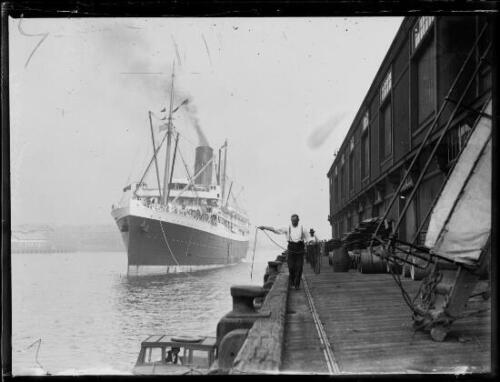 Dockman sosteniendo una cuerda de SS Maunganui mientras se acerca al muelle, N- Foto antigua - Imagen 1 de 1
