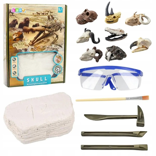 Zestaw Archeologiczny Wykopaliska Czaszek KośCi NarzęDzia Akcesoria Lean Toys-image