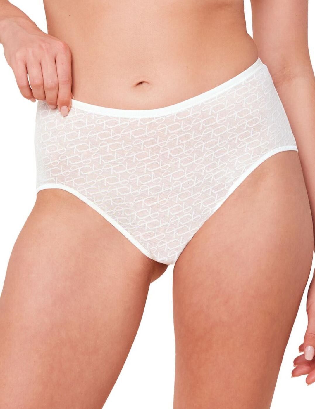 S - 10 Triumph Signature Briefs High Waisted Smooth Maxi Knickers 10215936