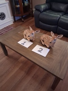 2 whitetail fawns in need of repair
