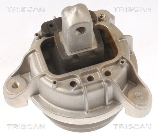 Triscan Motorlager 8505 11116 FüR BMW 5Er Touring F11 F10 7Er F01 F02 F03 F04-image