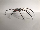 Handmade Hand-painted 5.5" Australian Orb Weaver Spider Figurine Replica Arachni — photo 8