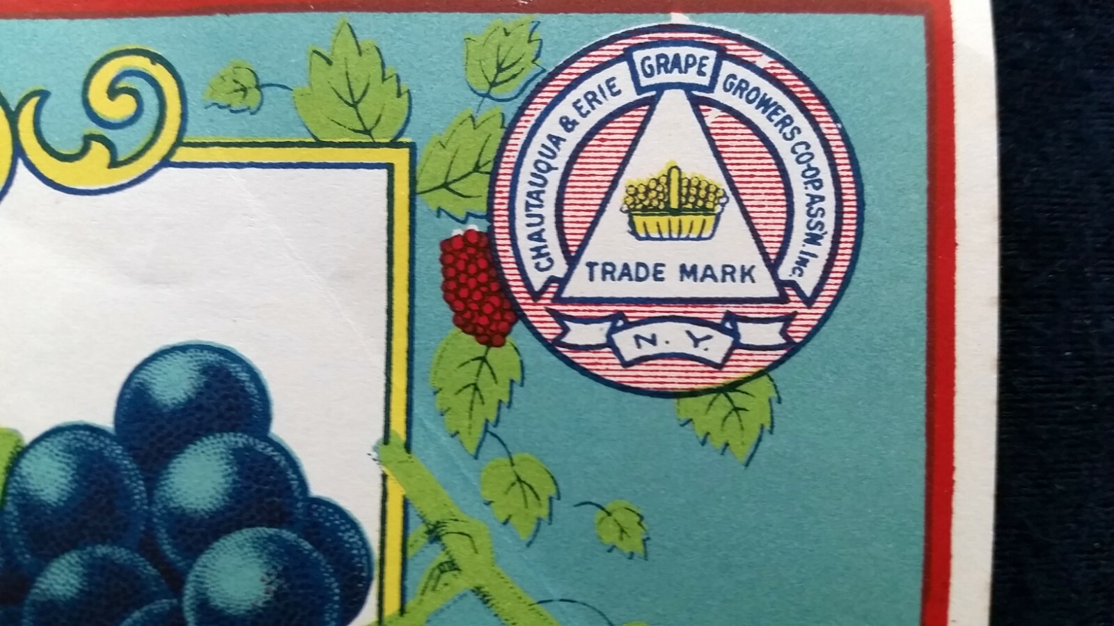 Chautauqua & Erie Fruit Growers Coop Concord Grapes Westfield NY 1940s