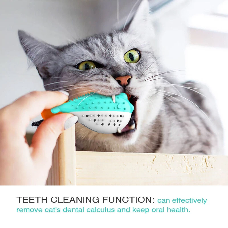Cat dental care clearance toys
