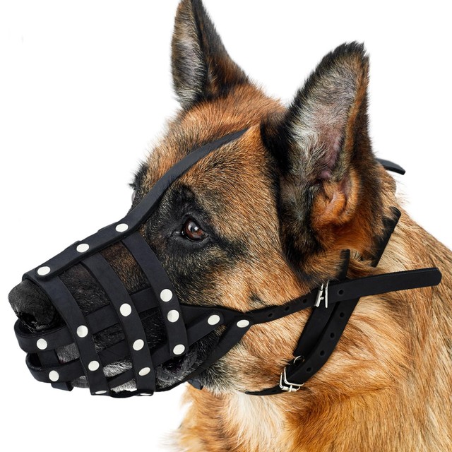 CollarDirect Leather Basket Muzzle