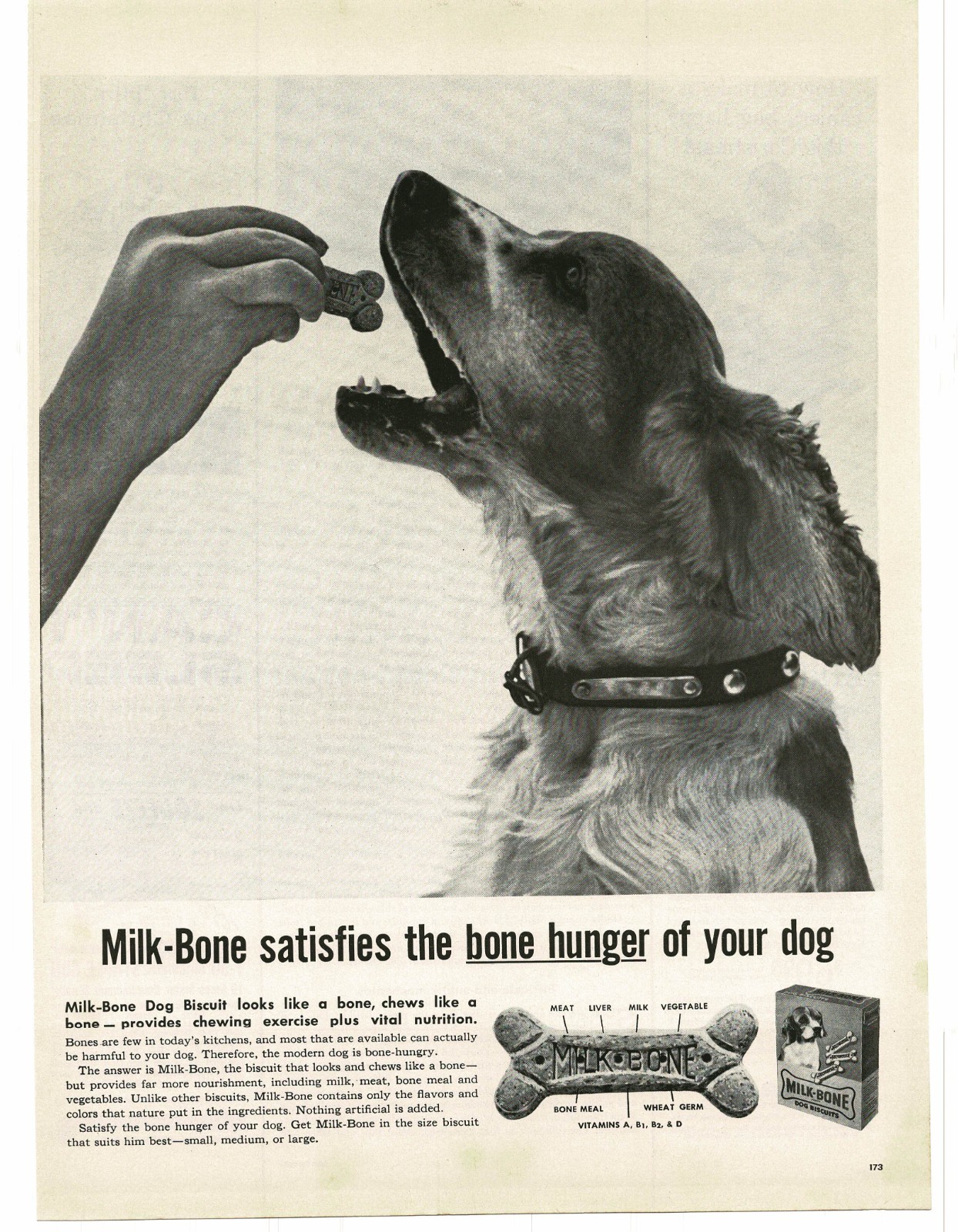 Vintage Print Ad