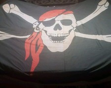 Pirate Skeleton Duvet Cover Queen 88x88" Gothic Style Skeletal Bedspread Cover