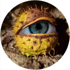 Slipmat Slip Mat Pad Felt for any 12" Turntable LP DJ Record Player EYE CONKER