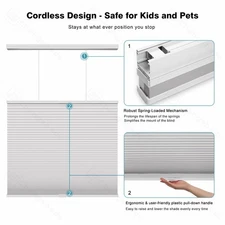 Light Filtering Cordless Cellular Shades Top-Down Bottom Up Honeycomb Blinds
