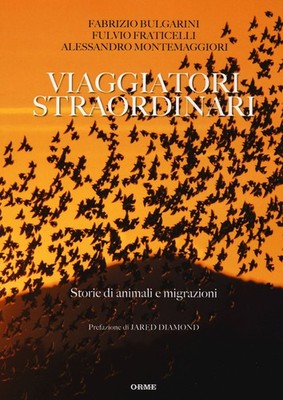Buch - Fabrizio Bulgarini / Fulvio Fraticelli / Alessandro Montemaggiori - Viag