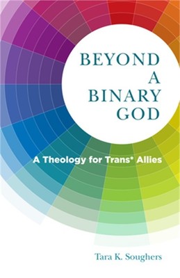 Beyond a Binary God: A Theology for Trans* Allies (Paperback or Softback)