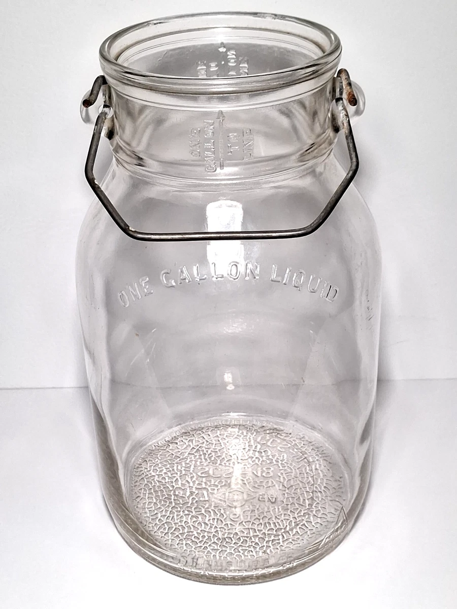 One Gallon Milk Bottle In Collectible Milk Bottles (1900-Now) for