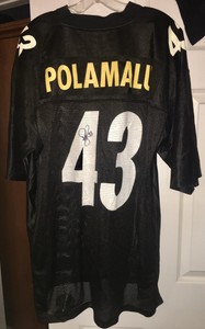 signed troy polamalu jersey