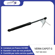 Verin de hayon / de capot Fiat 500