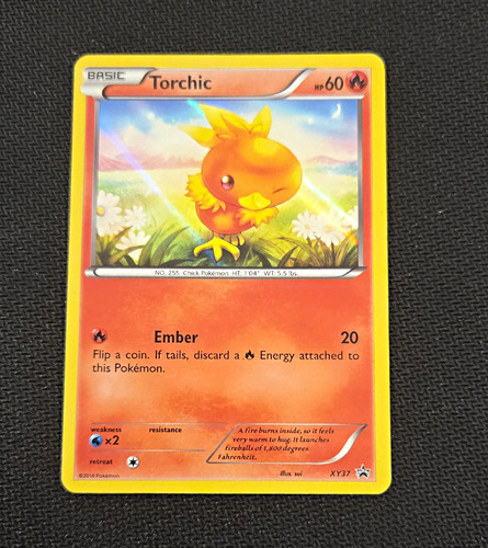 Torchic XY37 XY Promo Holo English Pokemon TCG Pokemon Card 60 HP Basic