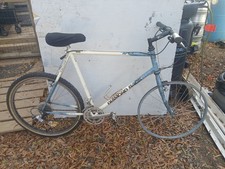 Vintage Diamond Back Mountain Bike