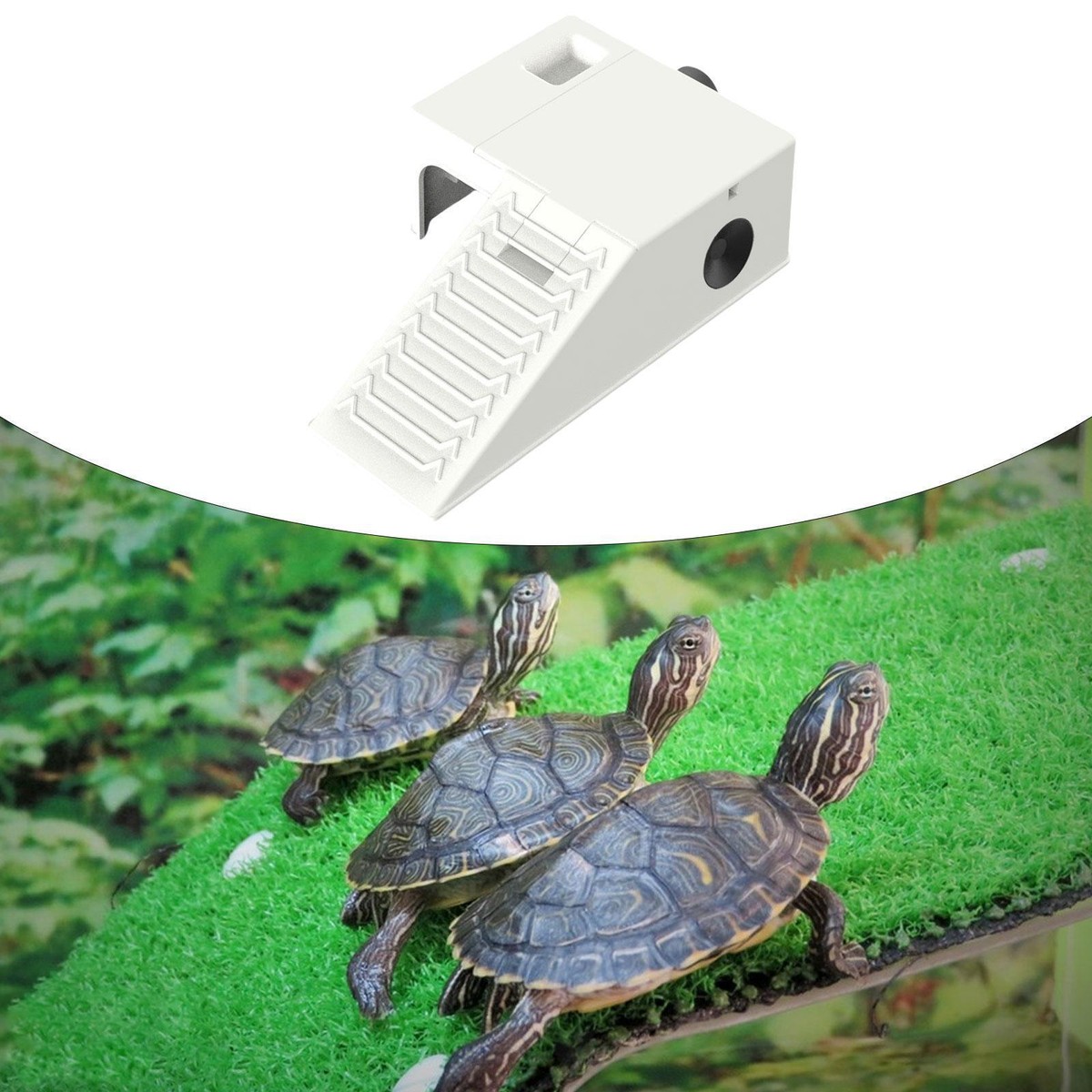 Turtle Tank Accessories Xixibuy Turtle Floating Basking Platform ...