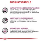 Bild 3 von 8