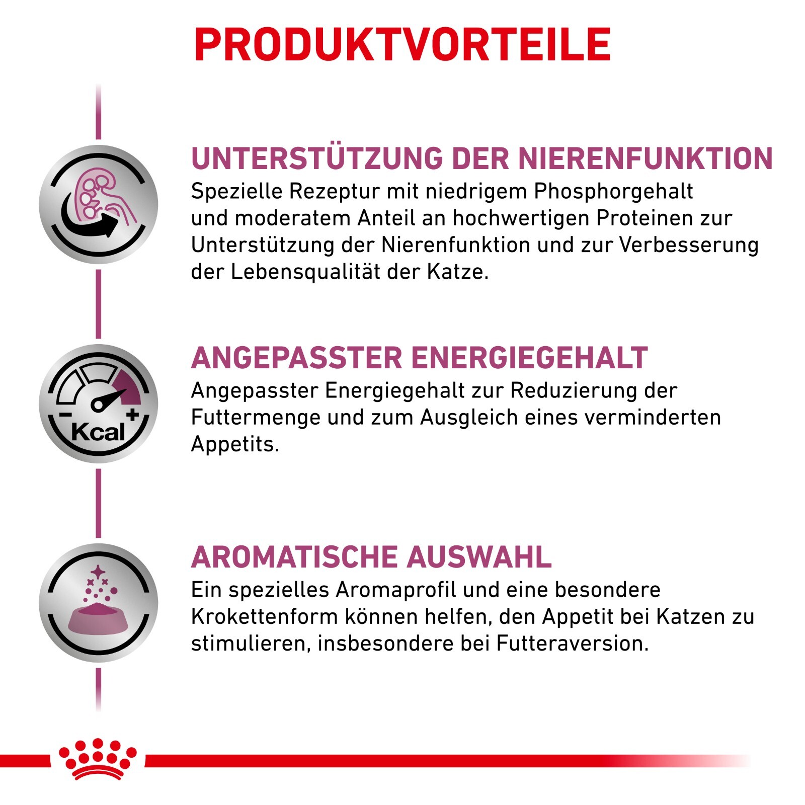 Bild 3 von 8