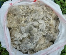 Raw Mohair Spinning, Felting, Reborn Dolls 16 oz. 1 lb. 2 per oz.