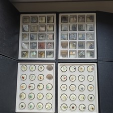 Treasures Of The Earth Mineral