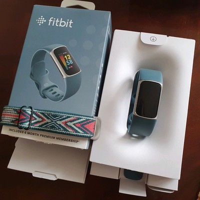 Fitbit Charge 5 Aktivitätstracker **Defekt** Platinum Steel/Silber, inkl. Bänder