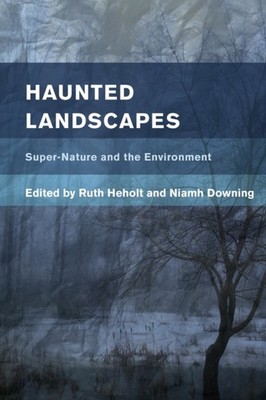 Heholt - Haunted Landscapes   Super-Nature and the Environment - paper - X555z