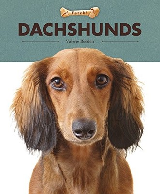 Creative Paperbacks 76576 Dachshunds Fetch