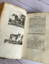 Antique book set – five volumes of Buffon’s Natural History from 1797