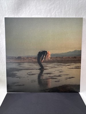 Phoebe Bridgers - Copycat Killer 2020 12  Vinyl EP Record Dead Oceans INC.
